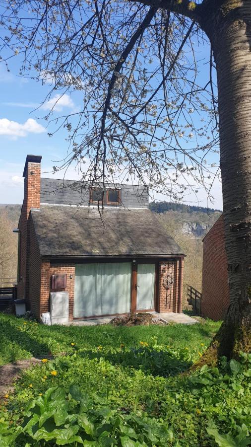 La Cabane D'Helie - Cottage En Pleine Foret - Domaine Du Bonsoy Hastiere-par-dela Bagian luar foto